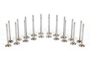 Ferrea 1.8T Intake and Exhaust Valves- 1mm Oversized